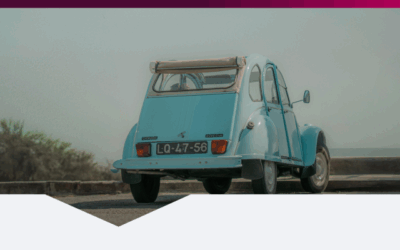 Stabiliteit versus weerstand