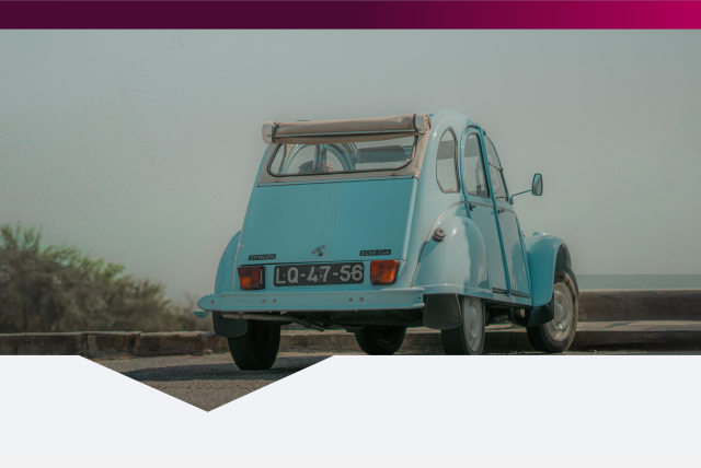 Stabiliteit versus weerstand